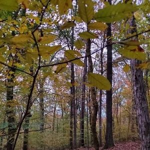 Meet your Posher, Jon